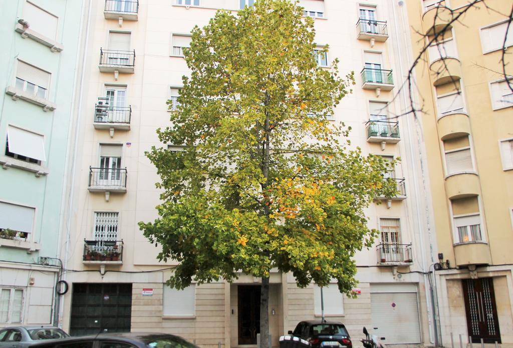 Ferienwohnung Casa Da Praceta Lissabon Exterior foto